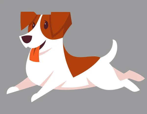 Courir Jack Russell Terrier chien . — Image vectorielle