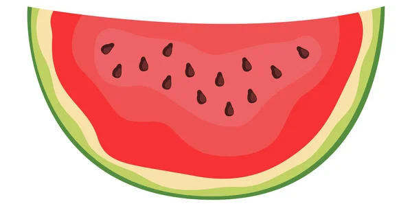 Piece of watermelon. — Stock Vector