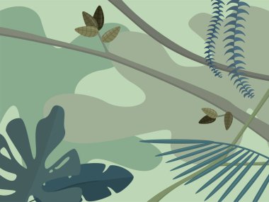 Tropik orman geçmişi.