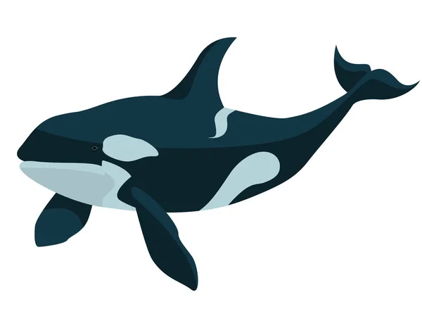 Balena assassina in stile cartone animato . — Vettoriale Stock