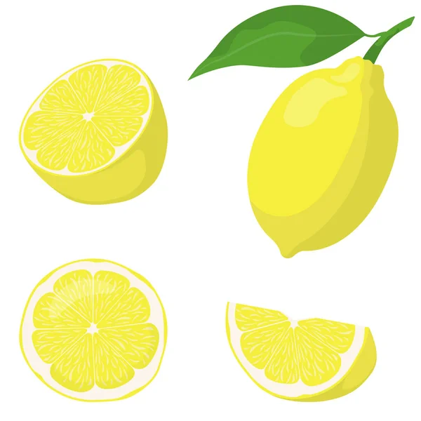 Egész és szeletelt citrom. — Stock Vector