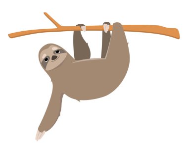 Tembel hayvan dalda asılı..