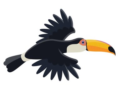 Uçan tropikal kuş.