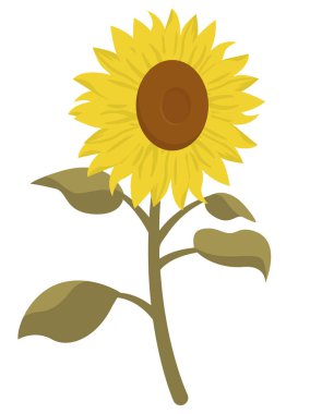 Çizgi film tarzında ayçiçeği.