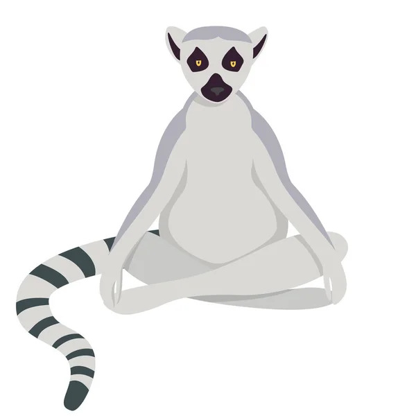 Lemur doet aan yoga. — Stockvector