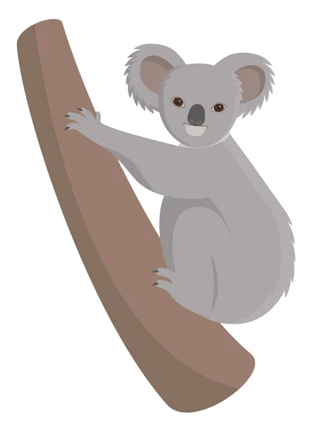 Koala drzewo wspinaczkowe. — Wektor stockowy