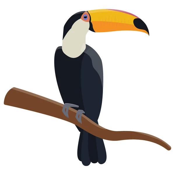 Toucan sentado en la rama . — Vector de stock