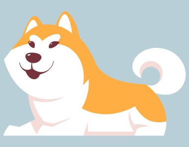 Yalancı Akita Inu köpeği..