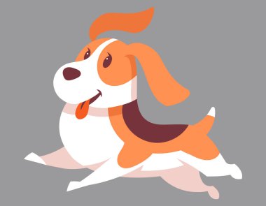 Koşan Beagle köpeği.