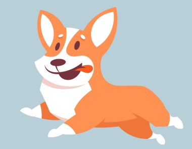 Koşan Corgi köpeği.