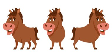 Aygır farklı pozlarda..