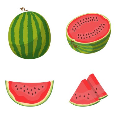 Tam ve dilimlenmiş karpuz..