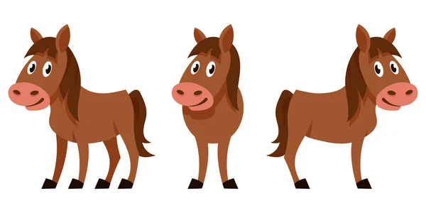 Foal en diferentes poses . — Vector de stock