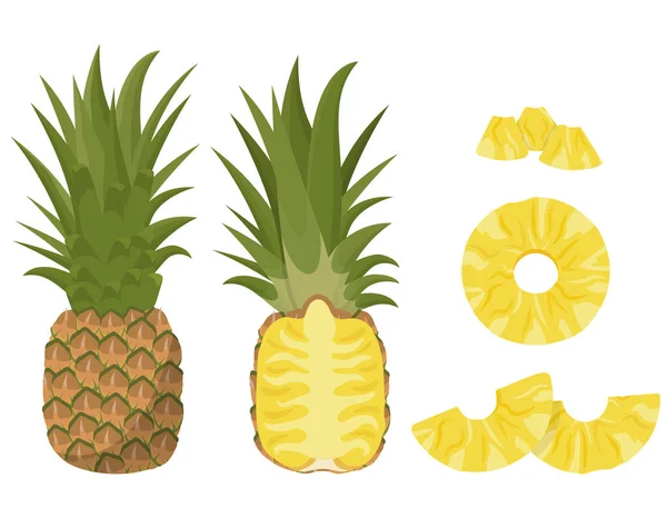 Ananas intero e affettato . — Vettoriale Stock