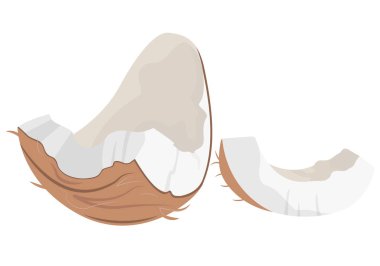 Çizgi film tarzında hindistan cevizi dilimleri.