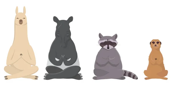 Animales haciendo yoga . — Archivo Imágenes Vectoriales