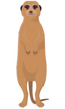 Tatlı mirket duruyor..