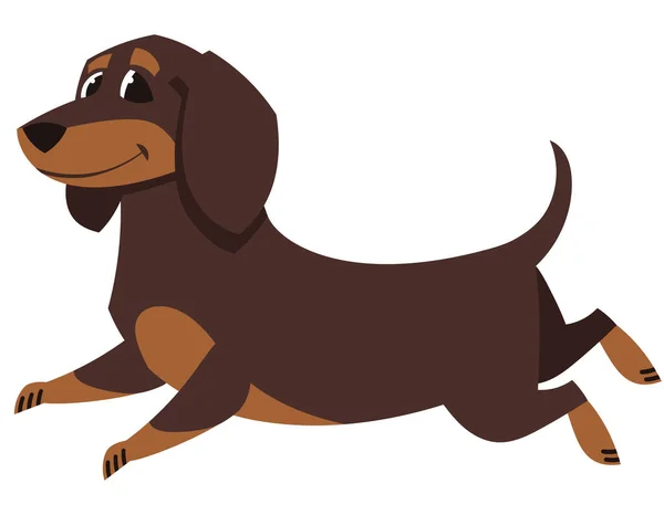 Courir Dachshund chien . — Image vectorielle