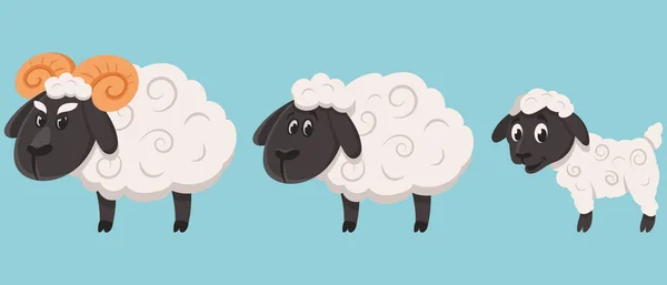 Sheep family in cartoon style. — Stock Vector