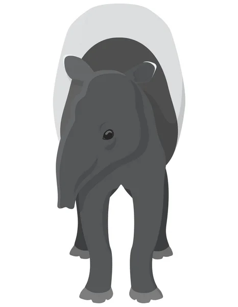 Tapir in cartoon style. — Stock Vector