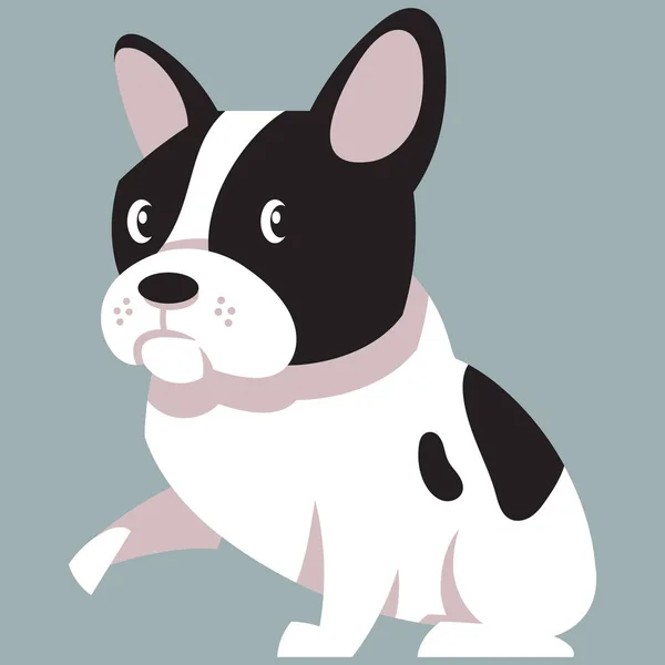 French bulldog giving paw. — Stock Vector