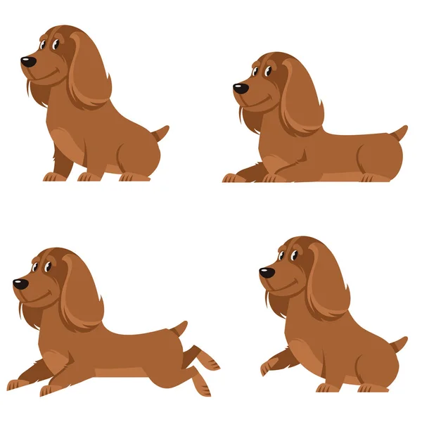 Cocker spaniel en diferentes poses . — Vector de stock