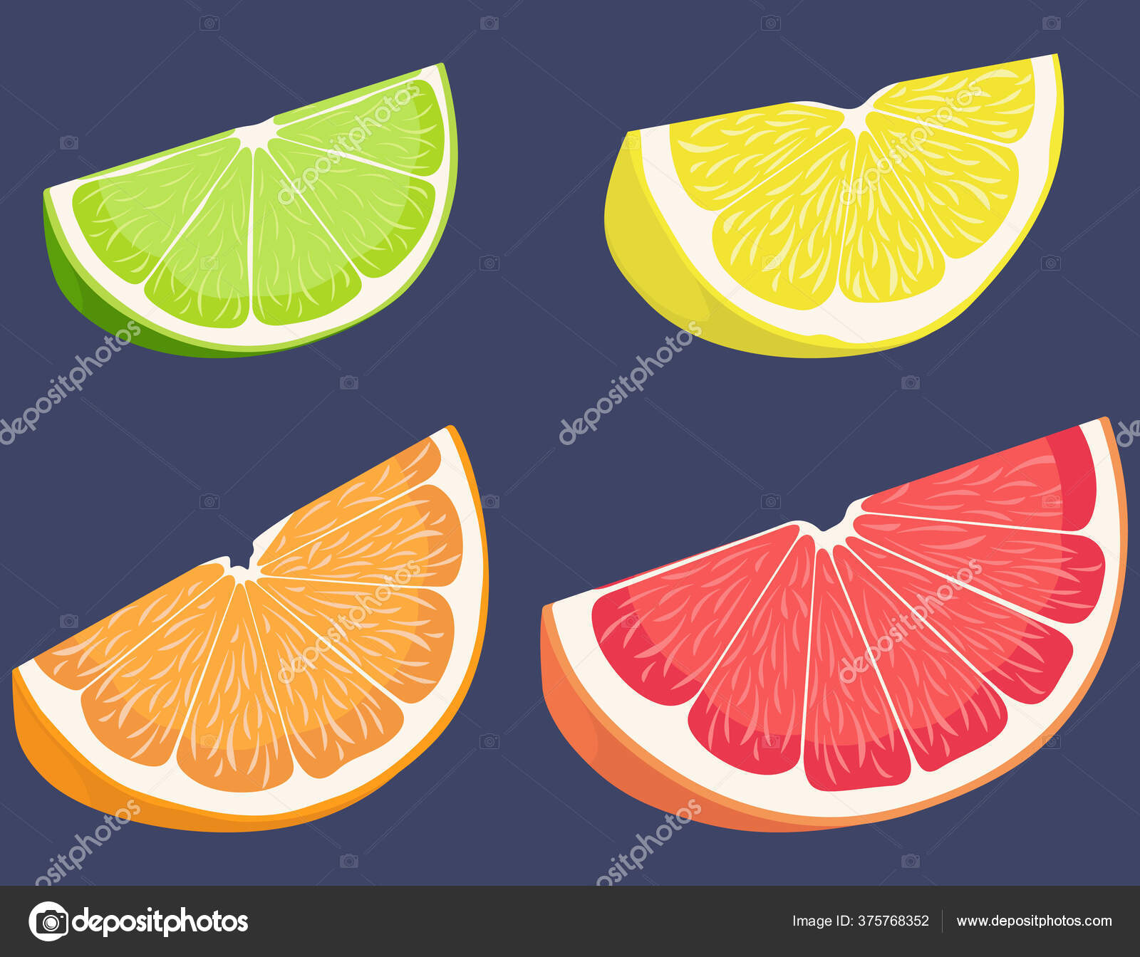 Seperangkat Buah Jeruk Stok Vektor SKvectorstock 375768352