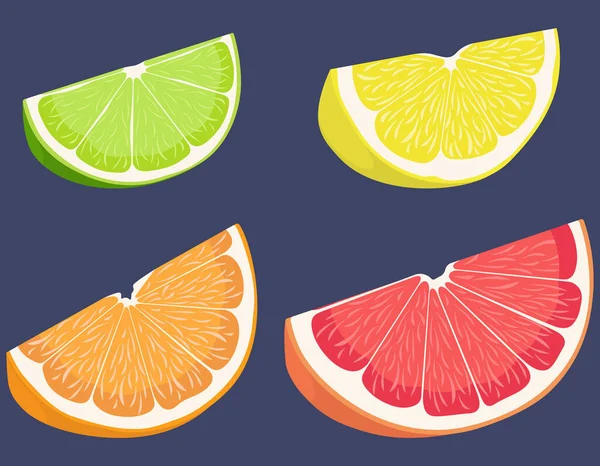 Set of citrus fruits. — Stock Vector