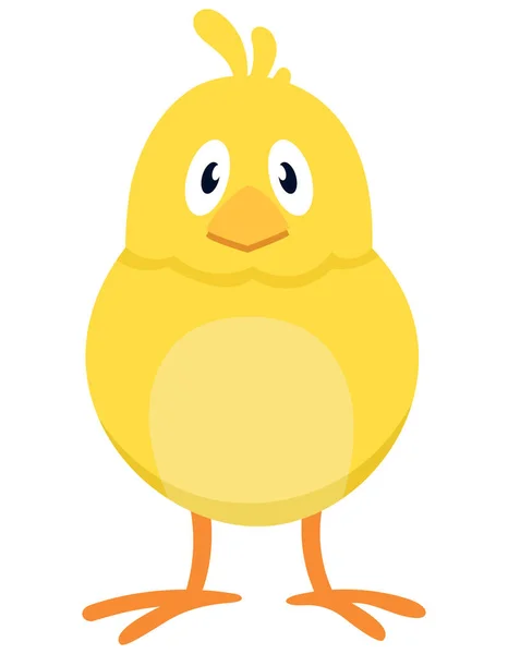 Chick front view. — Stock Vector