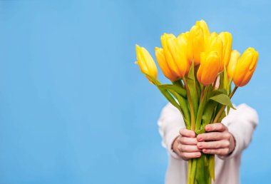 Mavi arka plandaki küçük çocuk elinde bir buket güzel sarı lale tutuyor. Bayramın konsepti 8 Mart, Uluslararası Kadınlar Günü, Anneler Günü. Pankart, metin için yer.