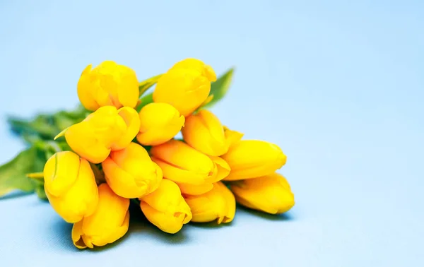 배경에는 노란색의 아름다운 꽃다발이 있습니다 축일의 개념은 여성의 발렌타인 어머니의 — 스톡 사진