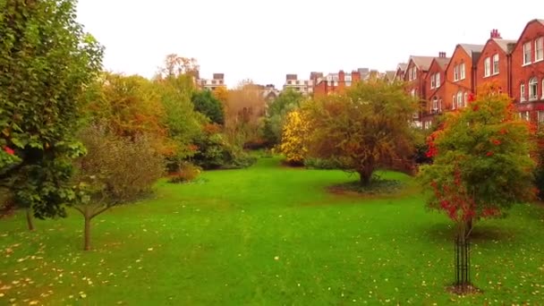 Reibungsloser Und Ruhiger Drohnenflug Durch Hinterhofgarten Herbst Mit Bunten Bäumen — Stockvideo