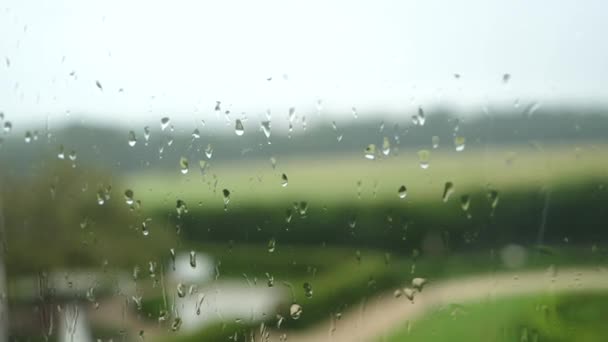 Капли Дождя Оконное Стекло Днем Закрыть — стоковое видео