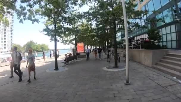 Marcher Centre Ville Montréal Pendant Une Journée Été — Video