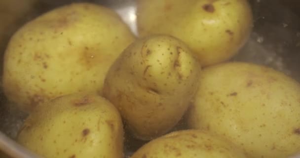 把煮好的土豆放在锅里 — 图库视频影像
