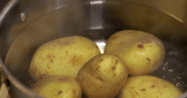 Gros Plan Des Pommes Terre Pelées Bouillantes Dans Une Casserole — Video