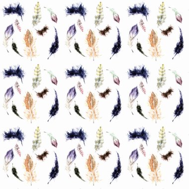 Kuş tüyü, suluboya ile boyanmış, elle. Sketch, hazır. .