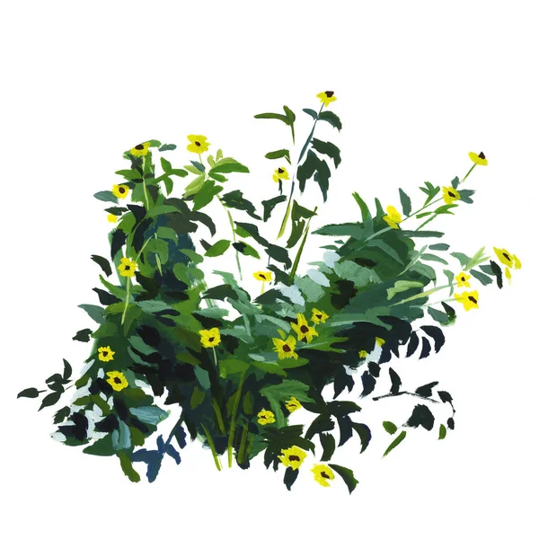 Suluboya kır çiçekleri, el çizimi, çiçek illüstrasyonu, yeşil çalılar. Bir kartpostal için sevimli kompozisyon.