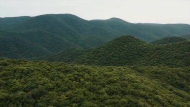 4 bin. Yoğun tropikal yeşillikle tepeler üzerinde destansı bir dron uçuşu. Doğanın muhteşem güzelliği. Güzel yeşil dağların tepesinde, yemyeşil ağaçlarla kaplanmış..