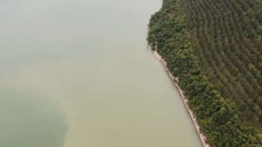 4 bin. Çamurlu gölün üzerinde İHA uçuşu. Çevre kirliliği. Çevresel sorunlar ve yok olma tehditleri.