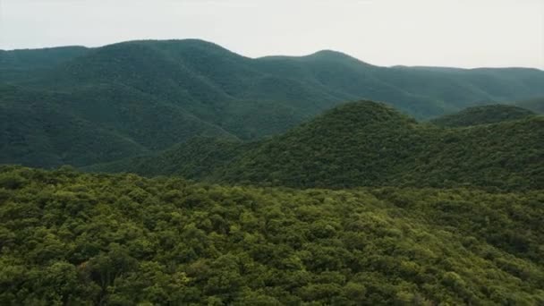 Egy Hatalmas Drónrepülést Sűrű Trópusi Növényzetű Dombok Felett Természet Mesés — Stock videók