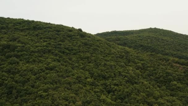 4k. Un vol épique de drone au-dessus des collines avec une végétation tropicale dense. La beauté fabuleuse de la nature. Tir sur de belles montagnes verdoyantes couvertes d'arbres luxuriants .