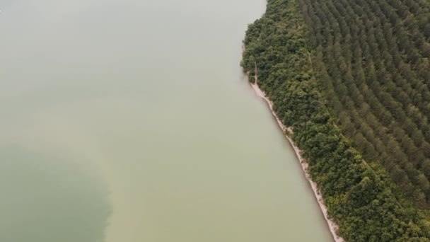 Vuelo Avión Tripulado Sobre Lago Fangoso Contaminación Ambiental Problemas Ambientales — Vídeos de Stock