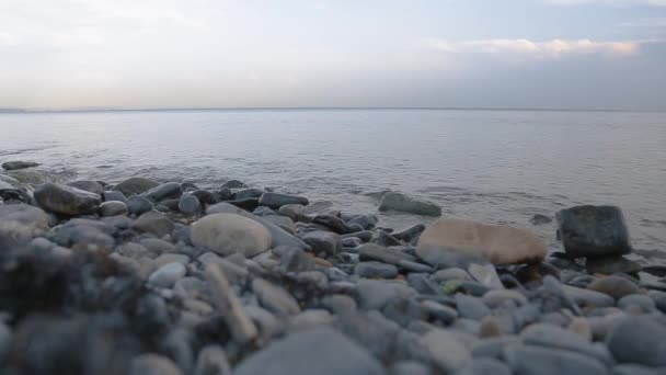 Douces Vagues Mer Roulent Sur Plage Rocheuse Dans Soirée — Video