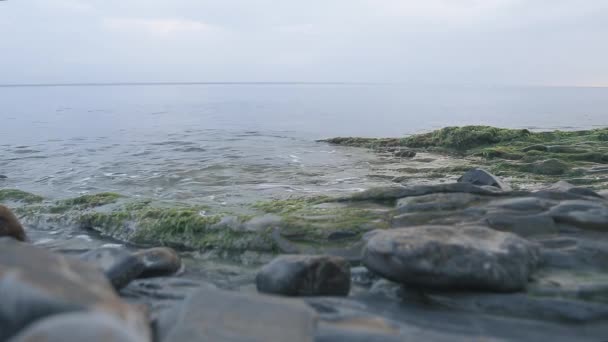 傍晚时分 柔和的海浪在岩石海岸上翻滚 — 图库视频影像