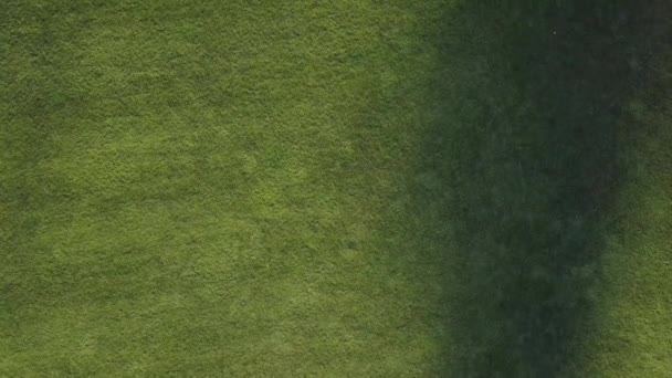 バックス郡の鳥の目のゴルフクラブで上から撮影 緑の野を撮影したドローン映像 — ストック動画