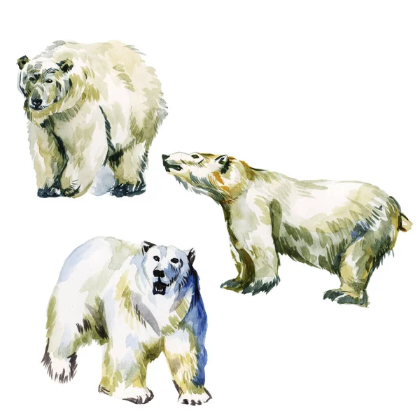 Σύνολο Πολική Αρκούδα Χειμερινά Ζώα Ένα Απομονωμένο Λευκό Φόντο Ακουαρέλα — Φωτογραφία Αρχείου