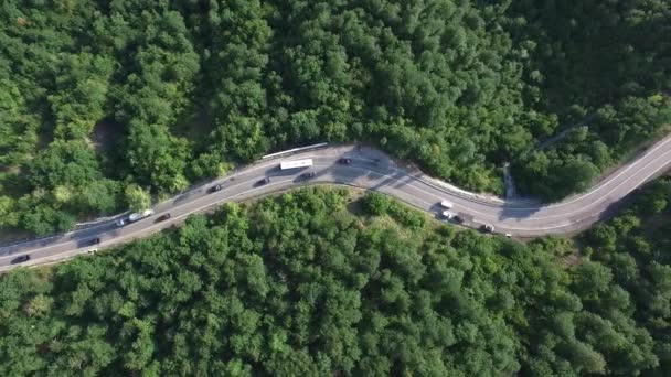 Hermoso Vuelo Aéreo Sobre Serpenteante Carretera Serpenteante Rodeada Bosque Verde — Vídeo de stock