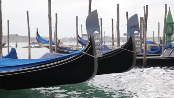 San Marco Venice Italy Traditional Gondolas Grand Canal Cloudy Day — Stock Video