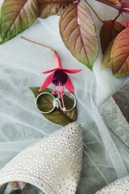 Gelin ve damadın nikah yüzükleri iç kısımda. Erkeksiz